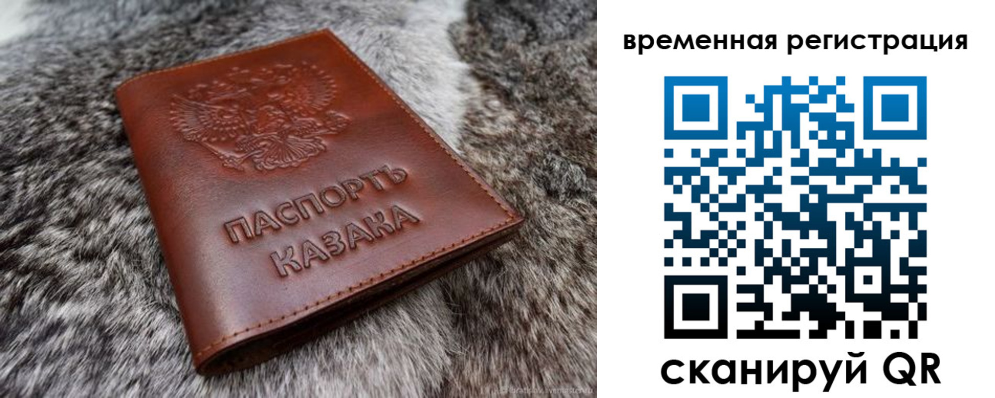 прописка 2025 в Скопине